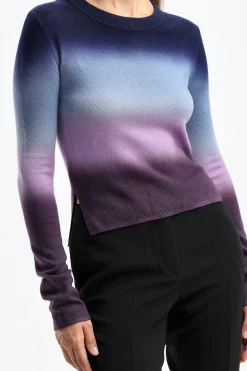 Femme Altuzarra Pull Camarina En Aubergine