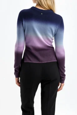 Femme Altuzarra Pull Camarina En Aubergine